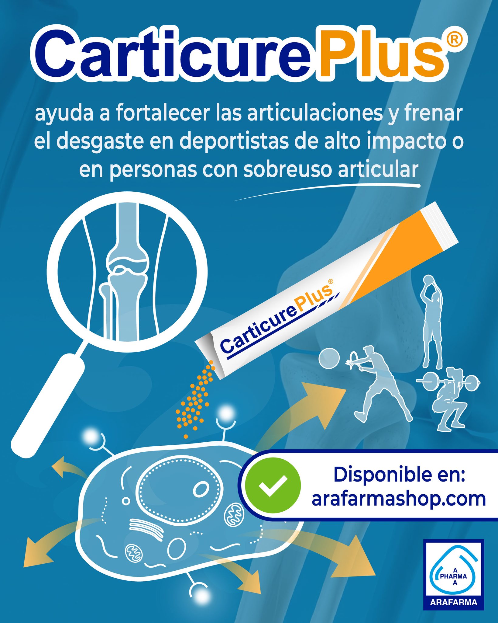 Si estás en alto rendimiento o practicas deporte de alto impacto, Carticure Plus te ayuda a frenar el desgaste articular gracias a sus péptidos bioactivos de colágeno, condroitín sulfato, glucosamina, vitaminas y minerales, que actúan en sinergia favoreciendo la producción endógena de colágeno y ácido hialurónico. 

#carticureplus #articulaciones #cartílago #articulacionessanas #colágeno #artrosis #condromalacia #deportedealtoimpacto #dolorarticular